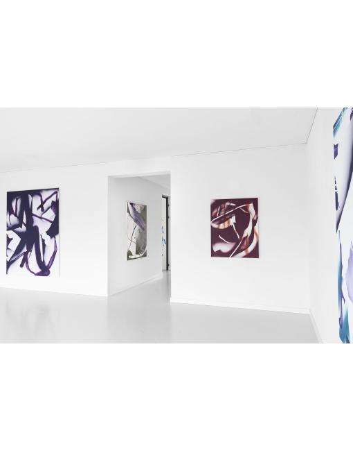 Sebastian Krzywak wystawa Molski gallery&collection