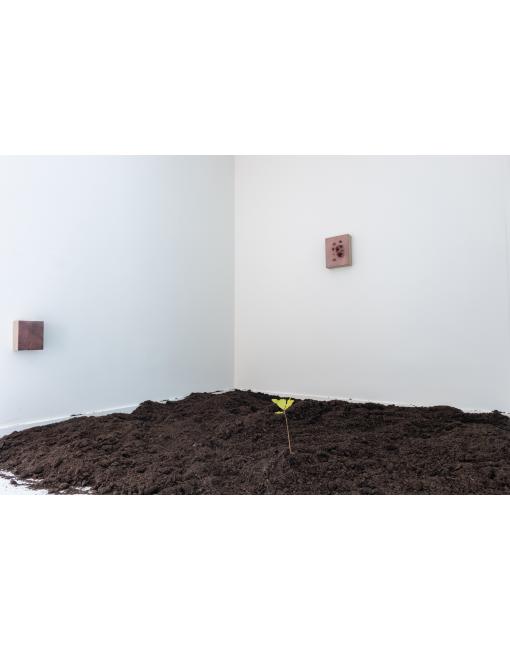 puls-pamieci-kk_2025-50
