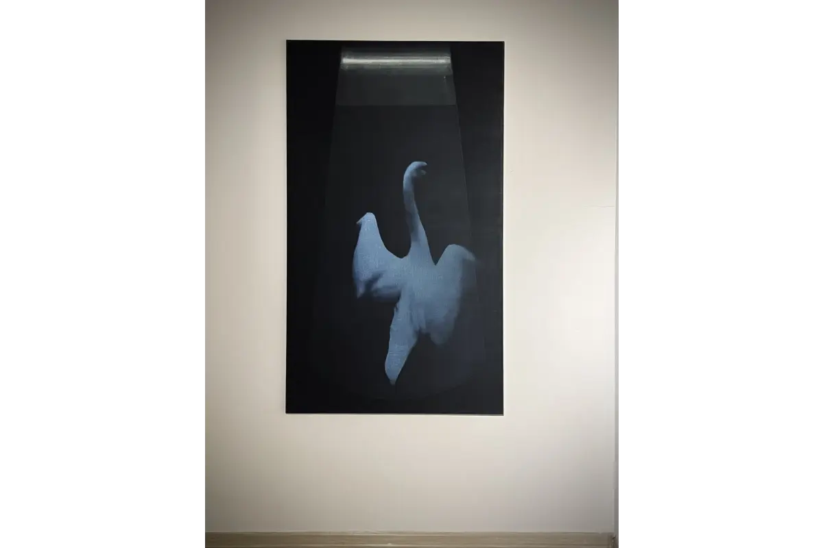 Dominik lejman MOLSKI galeria sprzedaż dzieł sztuki artysta