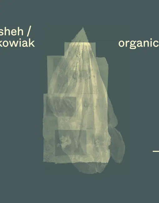 Asareh Akasheh/Anna Myszkowiak. Ta sama organiczna powłoka  MOLSKI gallery sprzedaż obrazów sztuka współczesna