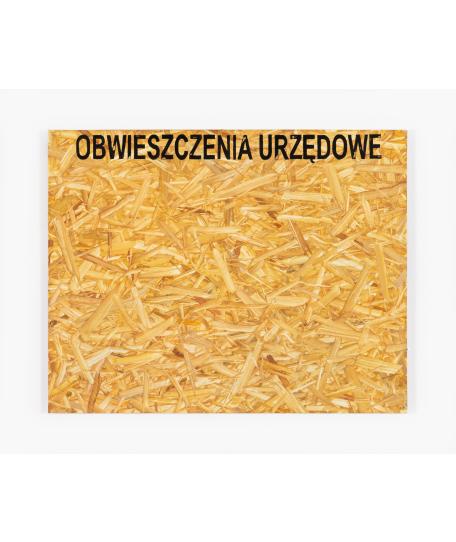 08_Piestrak_Obwieszczenia-urzędowe_75x95cm_2019_akryl-i-olej