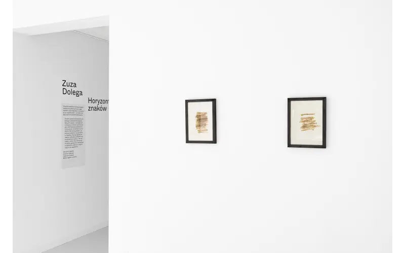 MOLSKI GALLERY Zuza Dolega sprzedaż obrazów