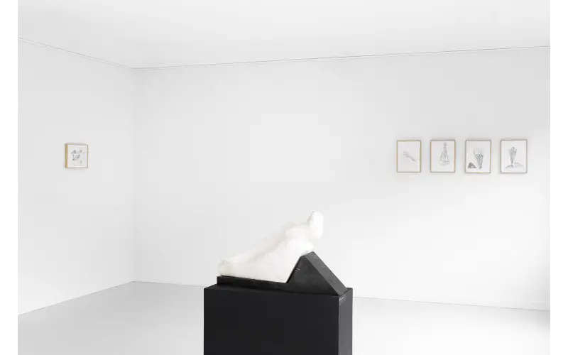 MOLSKI gallery wystaw Barbara Falender