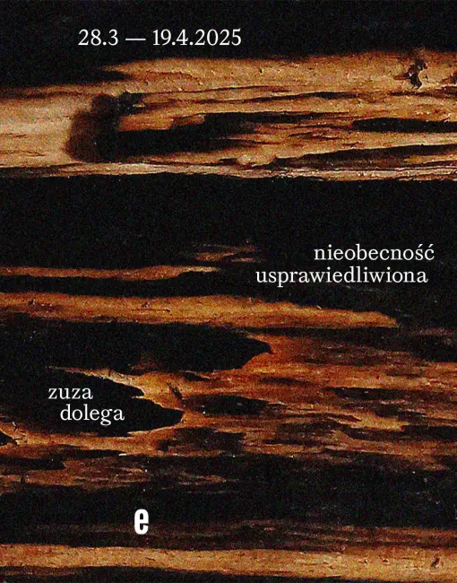 ZUZA DOLEGA MOLSKI GALLERY sprzedaż obrazów sztuka współczesna