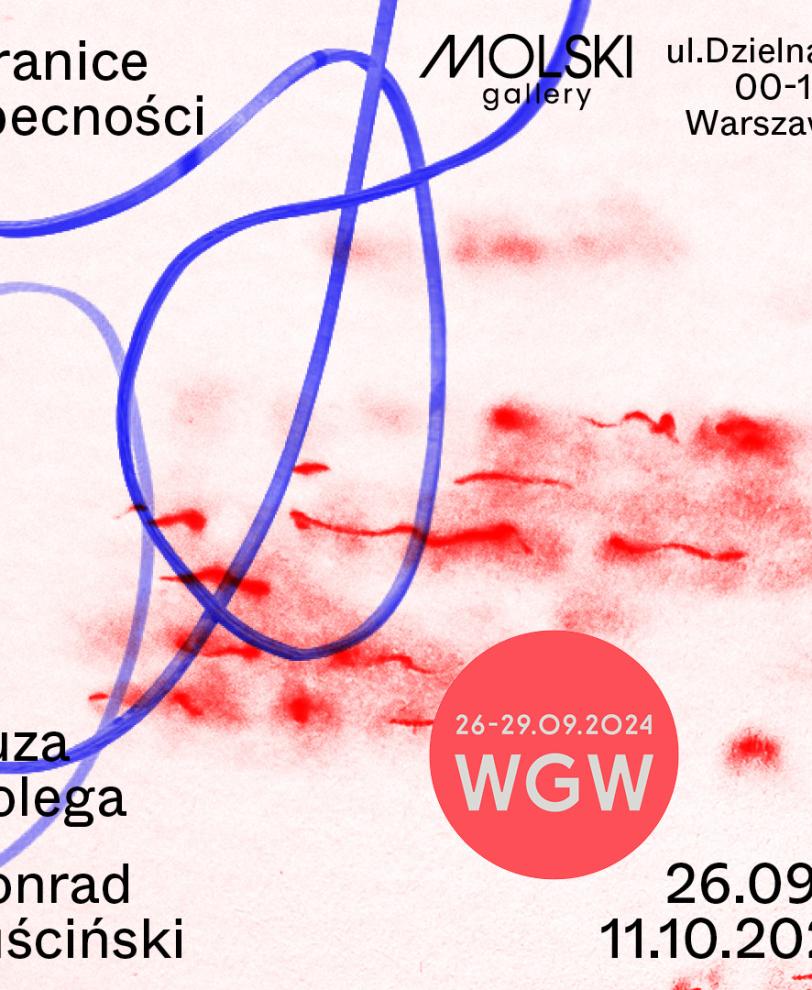 WGW Molski gallery sprzedaż obrazów Zuza Dolega Konrad Juściński