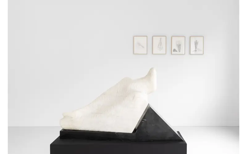 MOLSKI gallery wystaw Barbara Falender