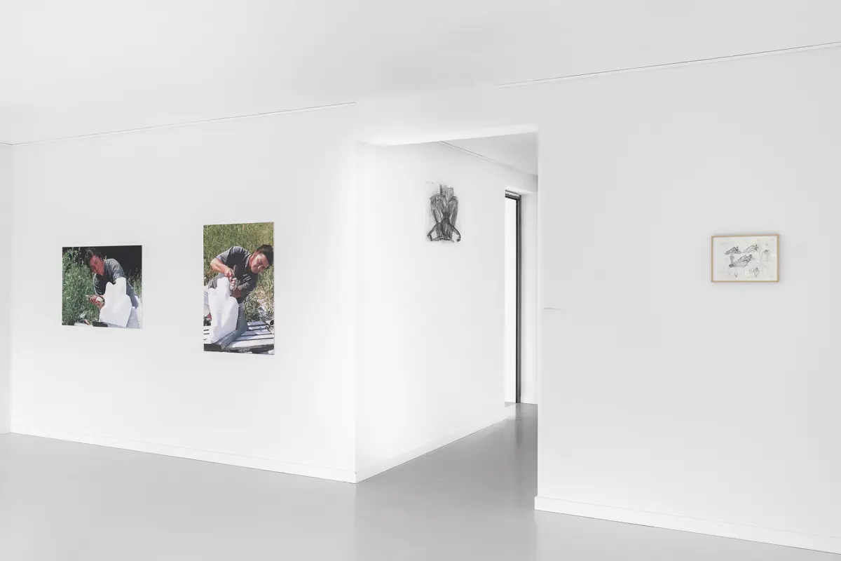 MOLSKI gallery wystaw Barbara Falender