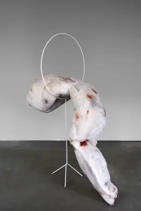 Myszkowiak_a-wszystko-o-własnych-siłach (1)