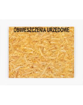 08_Piestrak_Obwieszczenia-urzędowe_75x95cm_2019_akryl-i-olej