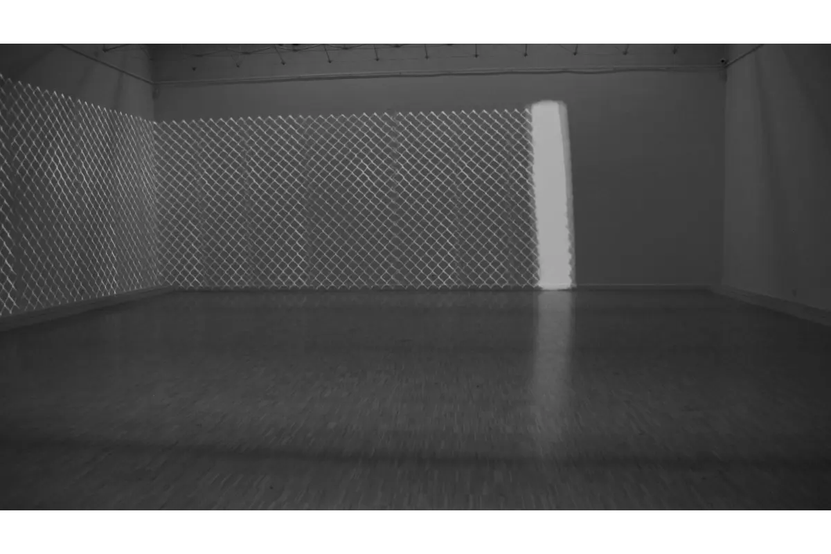 Dominik Lejman obrazy na sprzedaż MOLSKI gallery