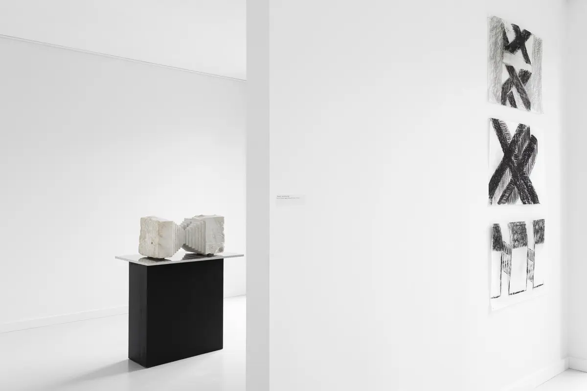 MOLSKI gallery wystaw Barbara Falender