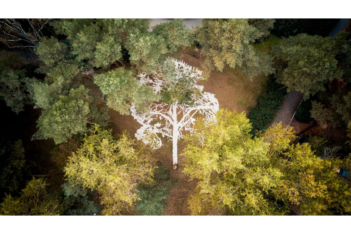 Dominik Lejman obrazy na sprzedaż MOLSKI gallery