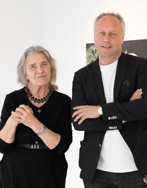 MOLSKI gallery Barbara Falender  sprzedaż obrazów