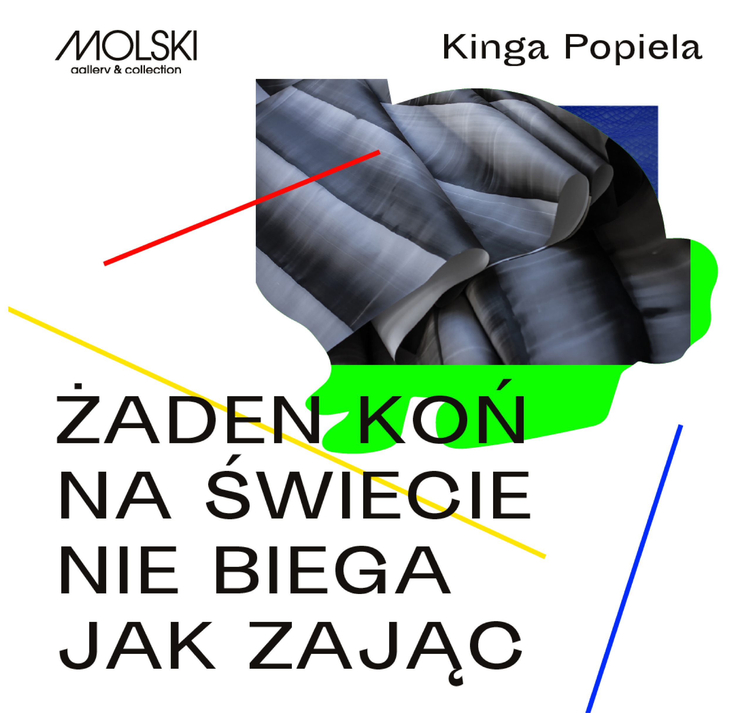 Żaden koń na świecie nie biega jak zając